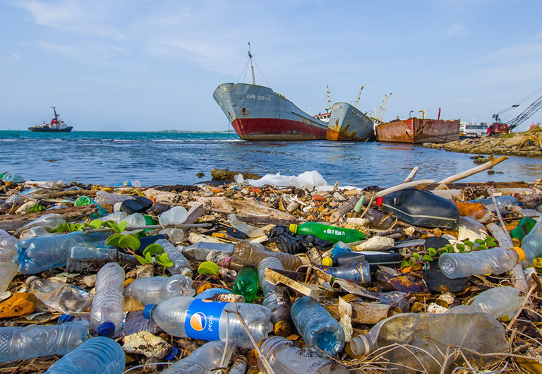 Kuraklıkla Mücadele Derneği - Plastiksiz Denizler